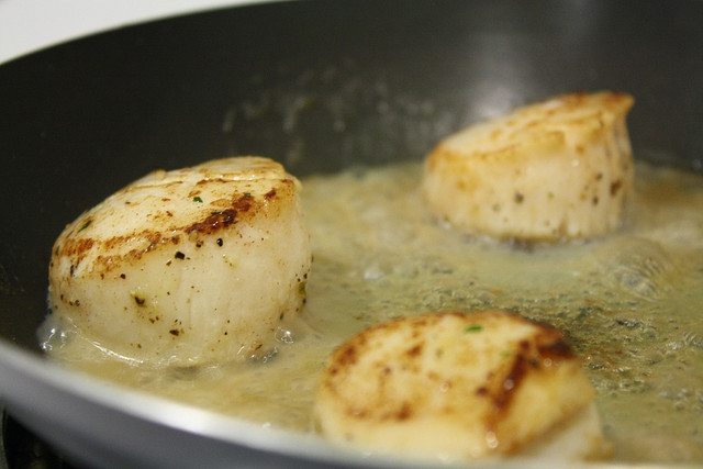 Coquilles Saint-Jacques à la poêle - Photo de jordanmit09 - 101Pairing.com