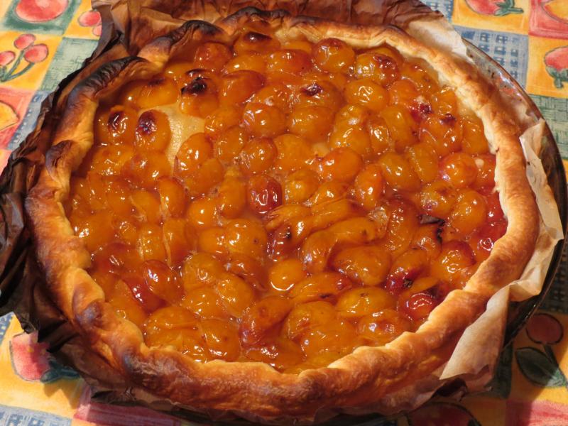 Tarte à la mirabelle - Photo de fidber - 101Pairing.com