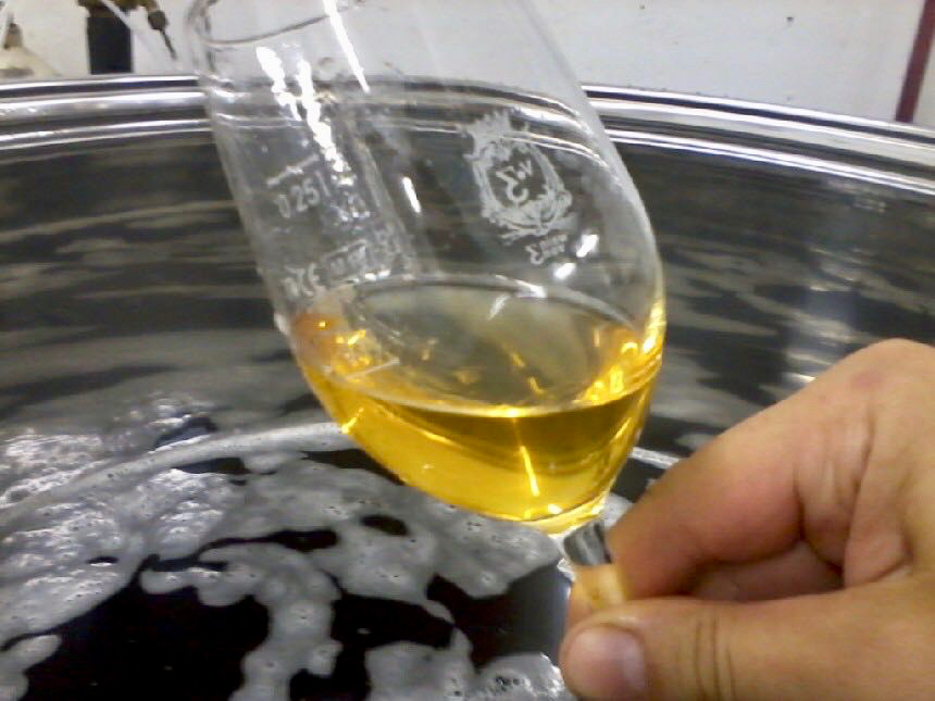 Alsace Grand cru Zotzenberg Sylvaner - Vins tranquilles blancs - Photo de barockschloss - 101Pairing.com