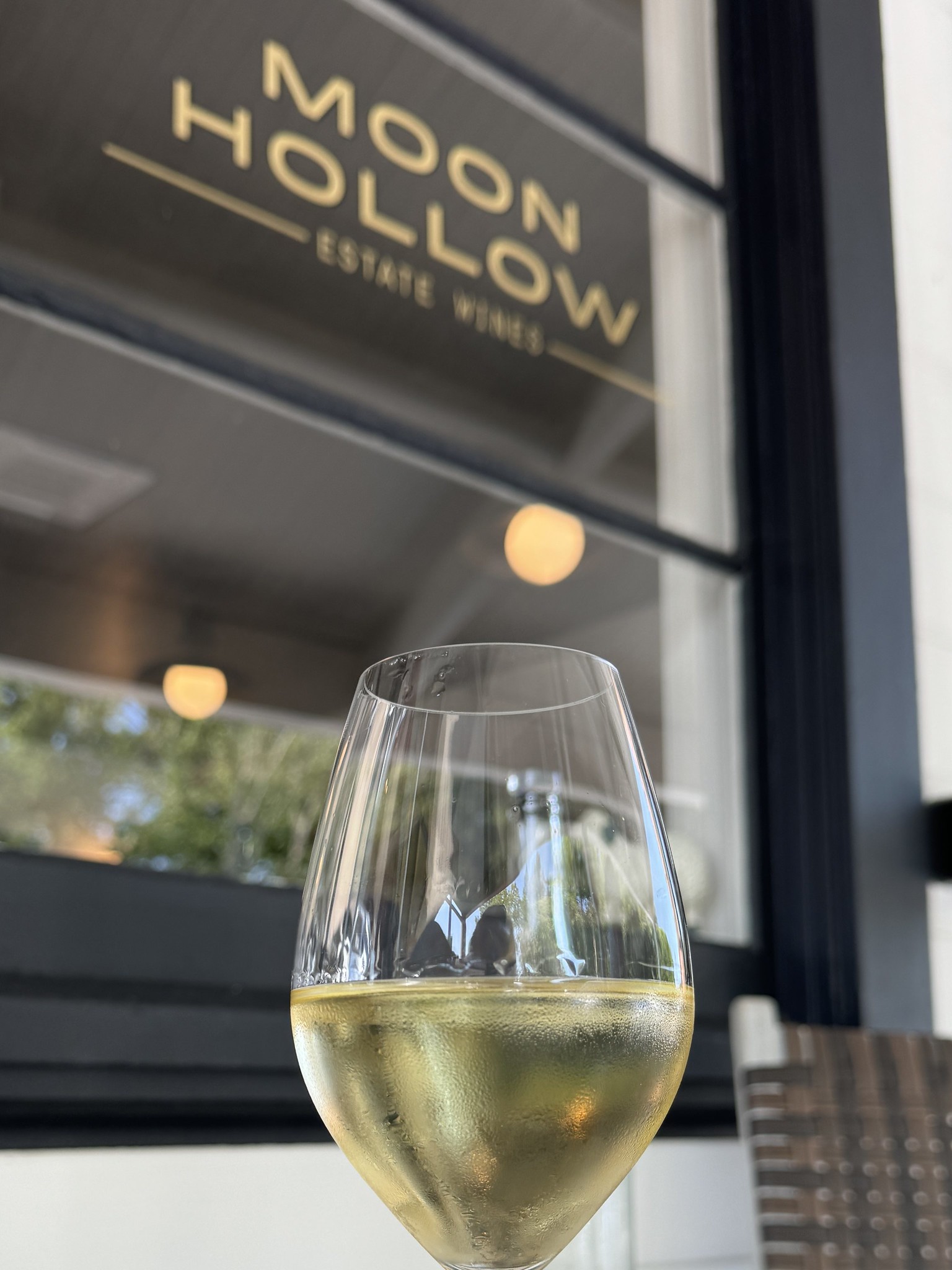 Bordeaux supérieur Blanc - Vins tranquilles blancs - Photo de Sarah Stierch - 101Pairing.com