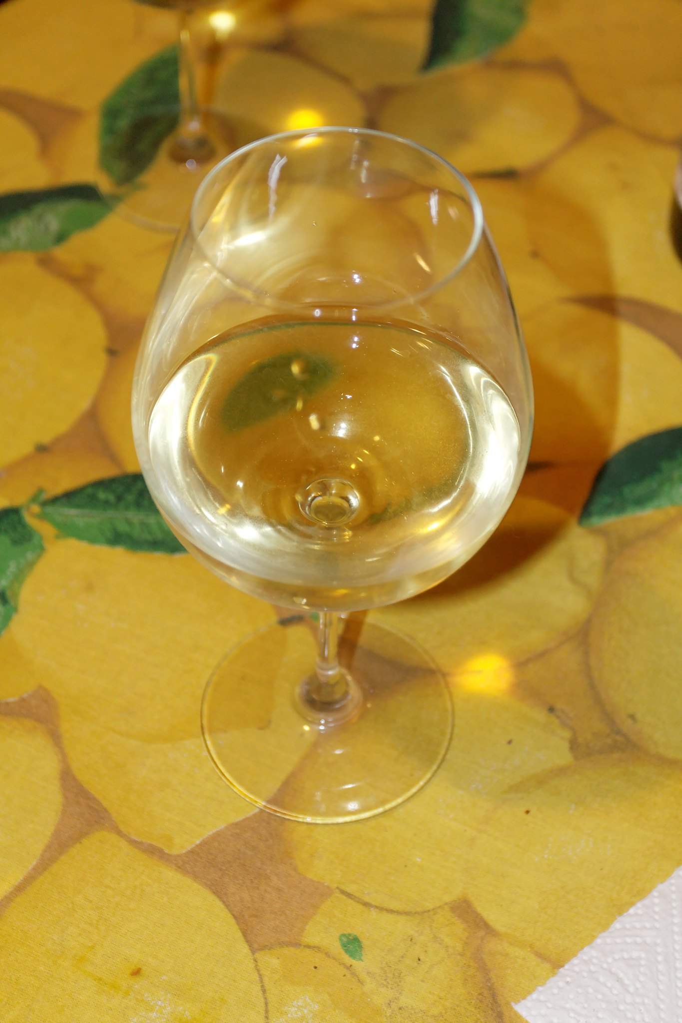 Menetou-Salon Blanc - Vins tranquilles blancs - Photo de Daniel Panev - 101Pairing.com