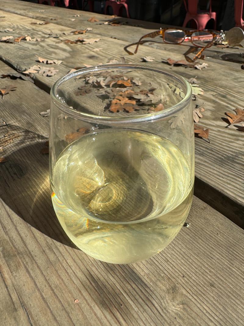 Bordeaux Blanc - Vins tranquilles blancs - Photo de Sarah Stierch - 101Pairing.com