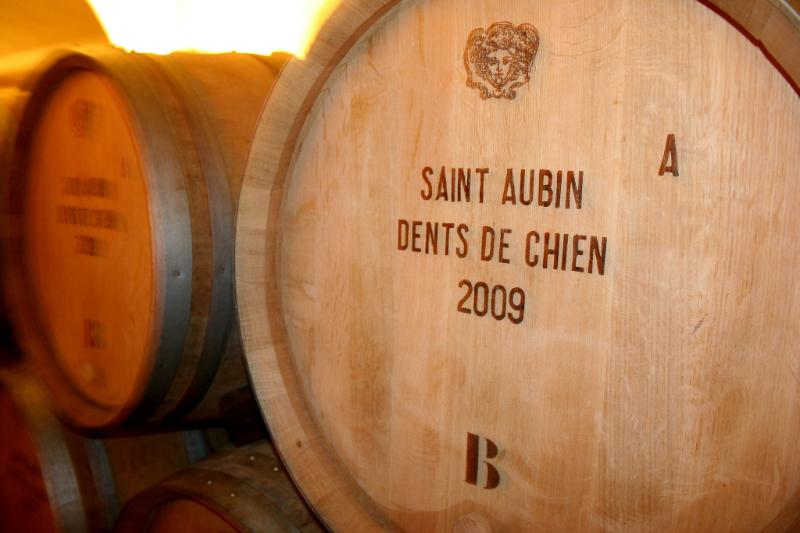 Saint-Aubin Premier cru Bas de Vermarain à l’est Blanc - Vins tranquilles blancs - Photo de Megan Cole - 101Pairing.com