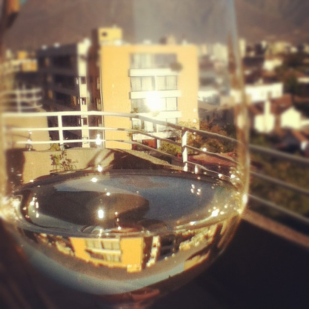 Bourgogne Chitry Blanc - Vins tranquilles blancs - Photo de PipO_esperger - 101Pairing.com