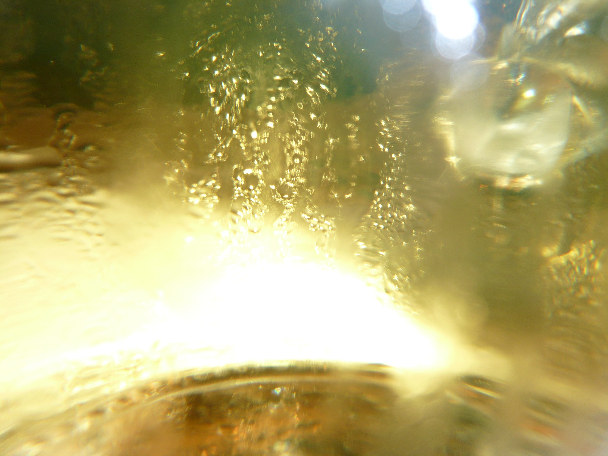 Faugères Blanc - Vins tranquilles blancs - Photo de jburke601 - 101Pairing.com