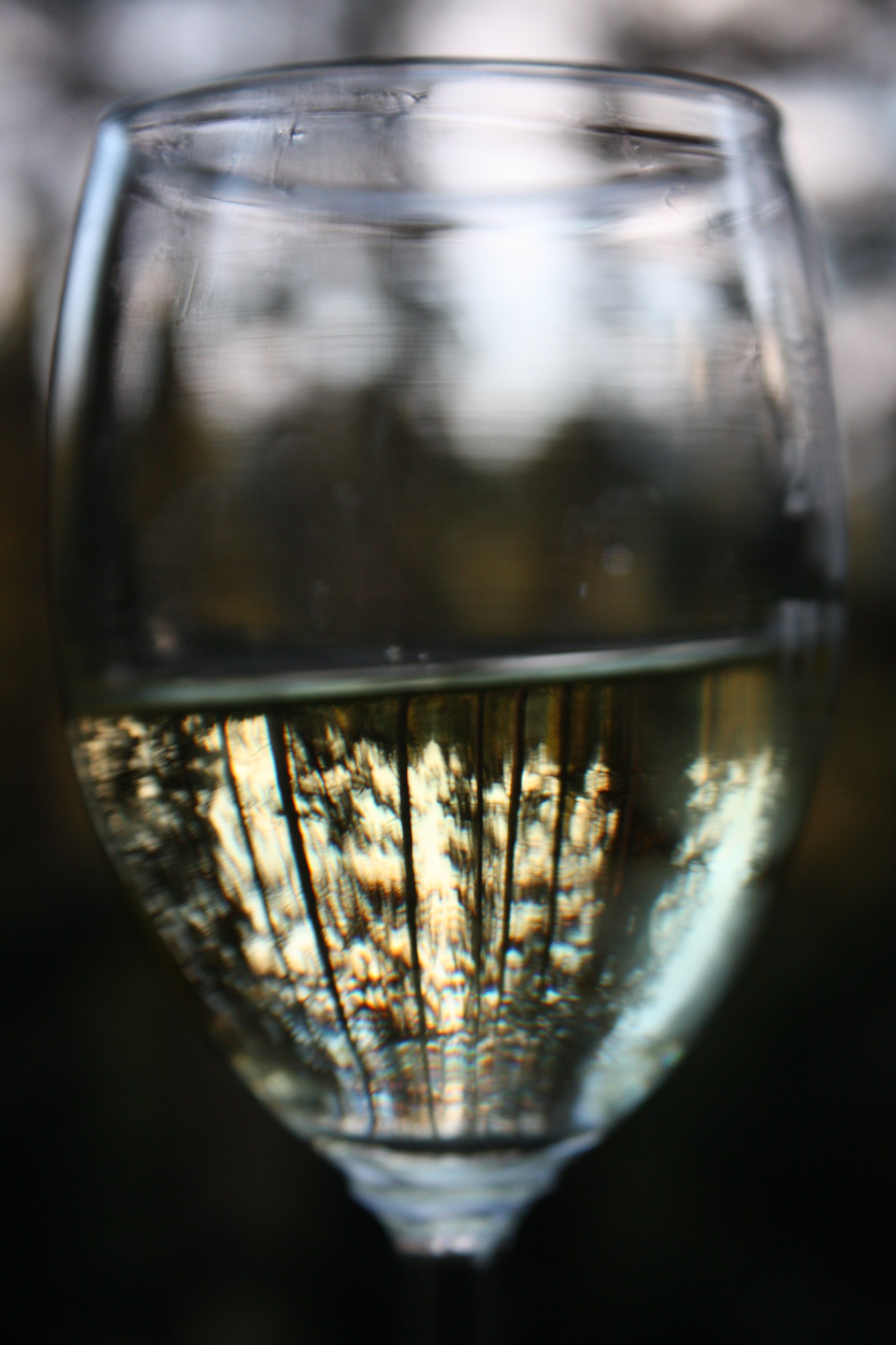 Côtes du Jura Blanc - Vins tranquilles blancs - Photo de alison fayre - 101Pairing.com