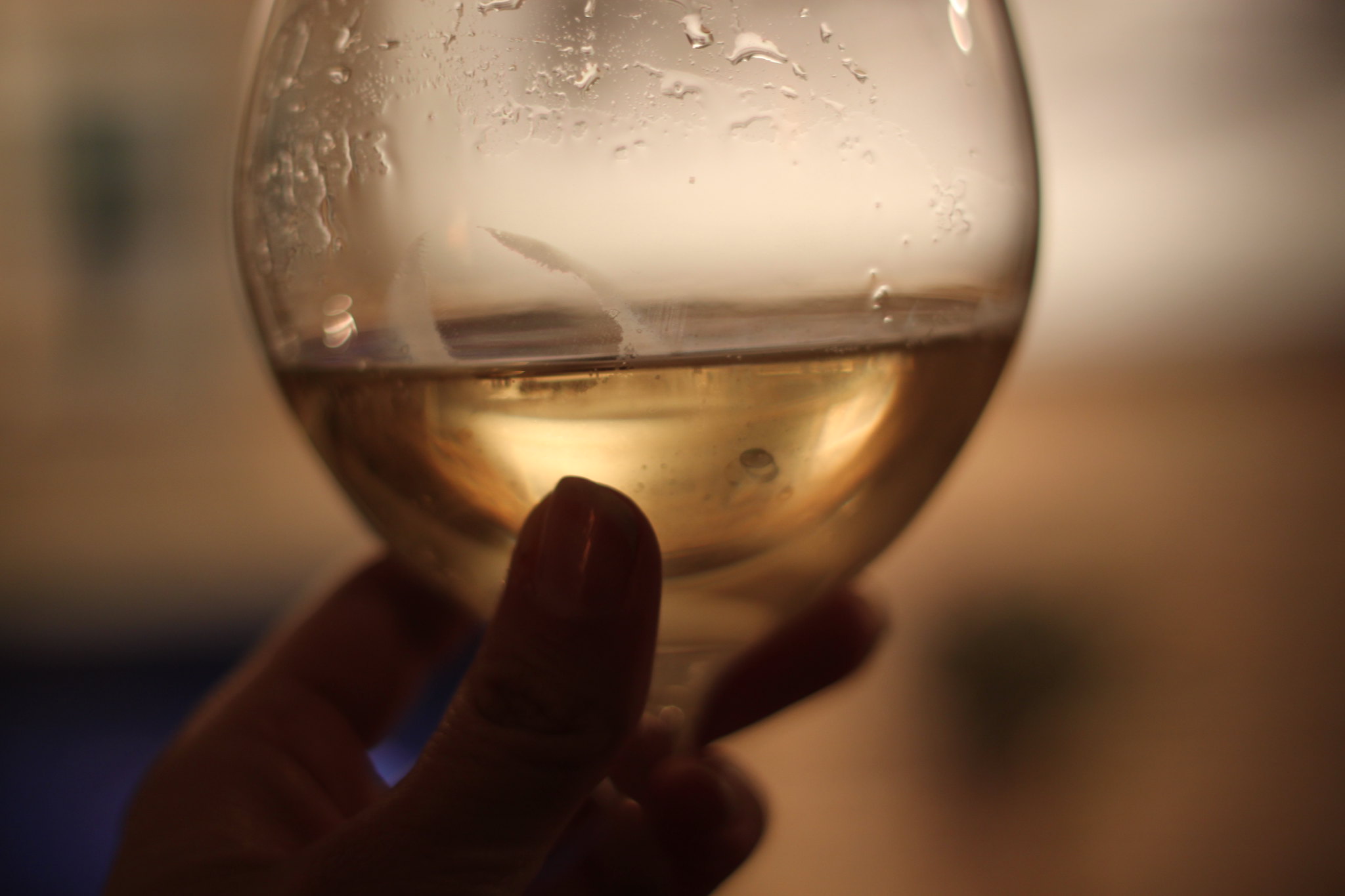 Graves de Vayres Blanc - Vins tranquilles blancs - Photo de alison fayre - 101Pairing.com