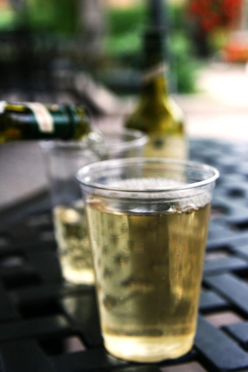 Coteaux du Giennois Blanc - Vins tranquilles blancs - Photo de Quinn Dombrowski - 101Pairing.com