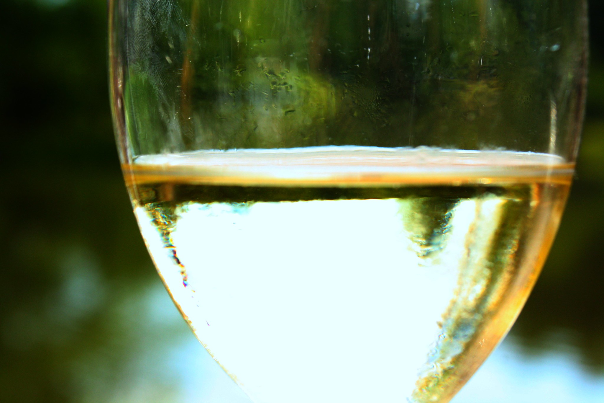 Savennières Demi-sec - Vins tranquilles blancs - Photo de Blondinrikard Fröberg - 101Pairing.com