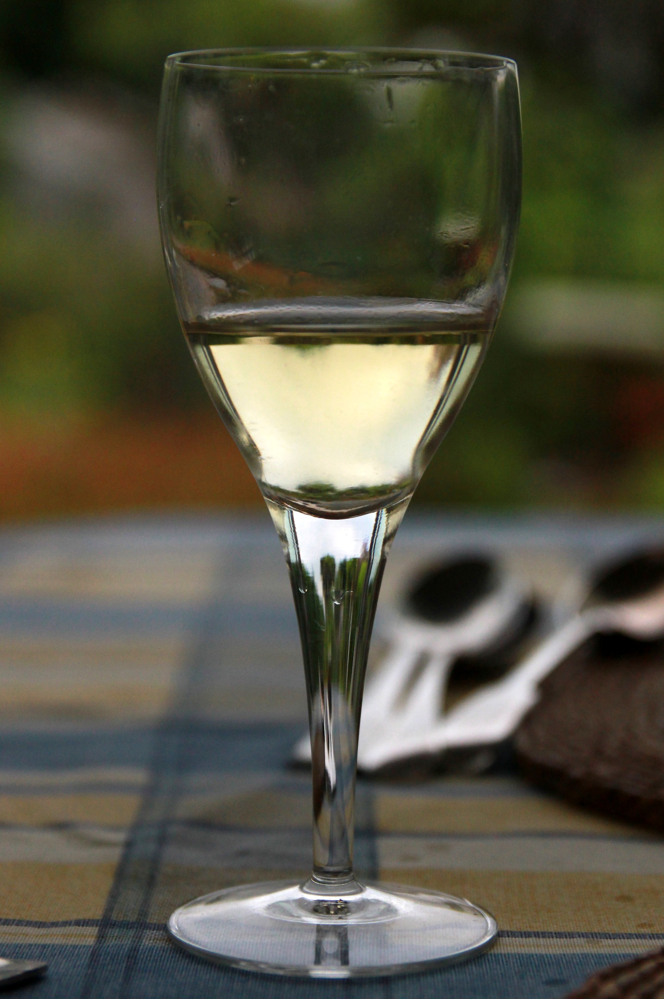 Vin de Corse Coteaux du Cap Corse Blanc - Vins tranquilles blancs - Photo de Mike Finn - 101Pairing.com