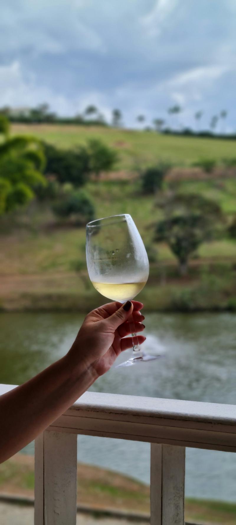 Cadillac - Vins moelleux et liquoreux blancs - Photo de Aaron Mello - 101Pairing.com