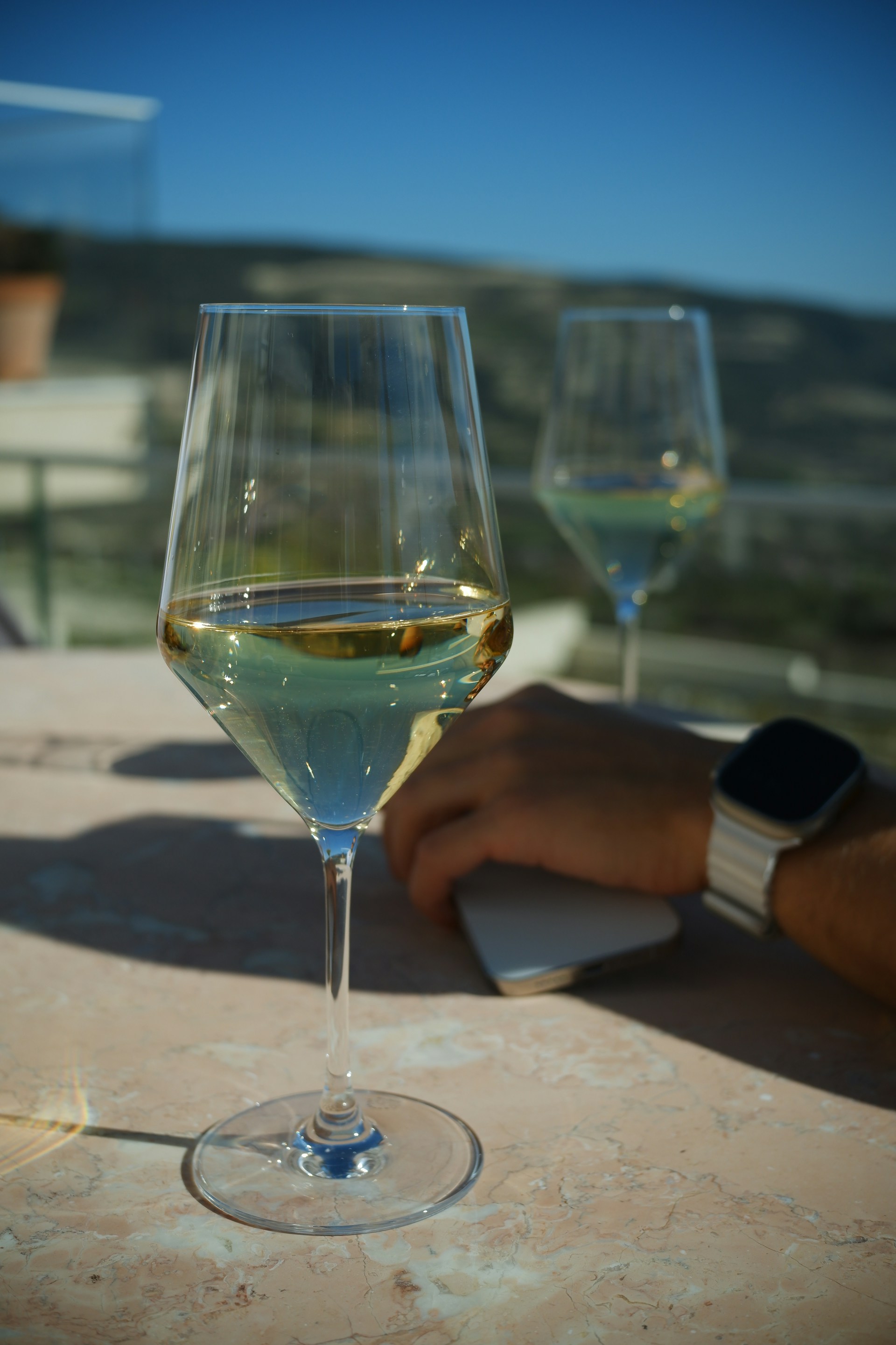 Muscat de Rivesaltes Muscat de Noël - Mistelles, vins de liqueurs et vins doux naturels - Photo de Daniela Muntyan - 101Pairing.com