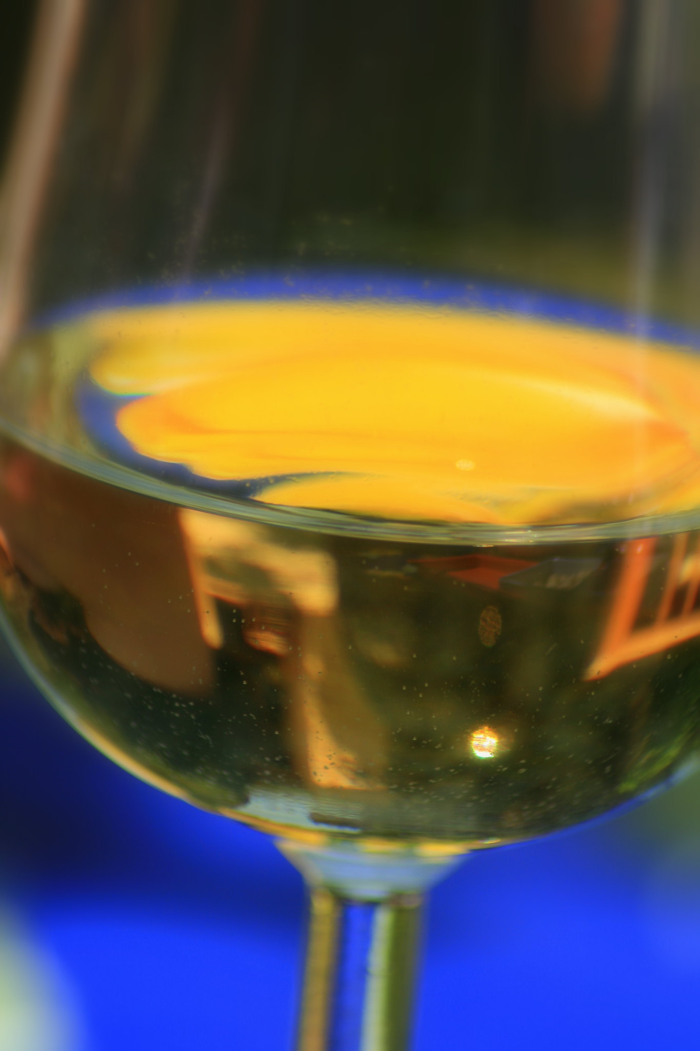 Côtes du Jura Vin jaune - Vins jaunes - Photo de jean-louis Zimmermann - 101Pairing.com