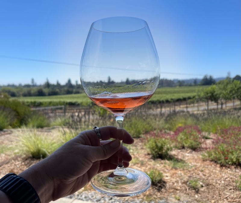 Mâcon Rosé - Vins tranquilles rosés - Photo de Sarah Stierch - 101Pairing.com