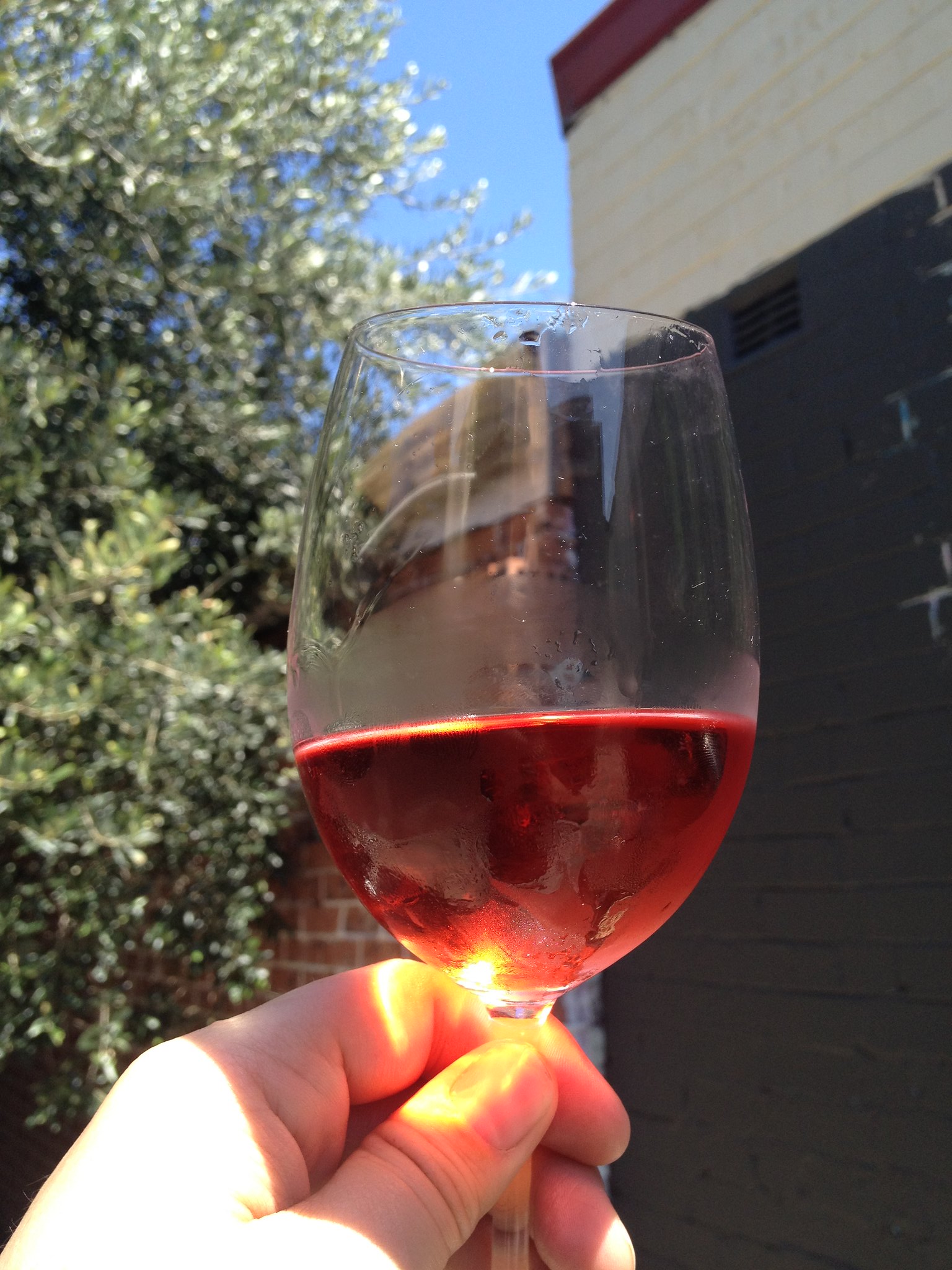 Beaujolais Rosé Primeur - Vins tranquilles rosés - Photo de Lachlan Hardy - 101Pairing.com