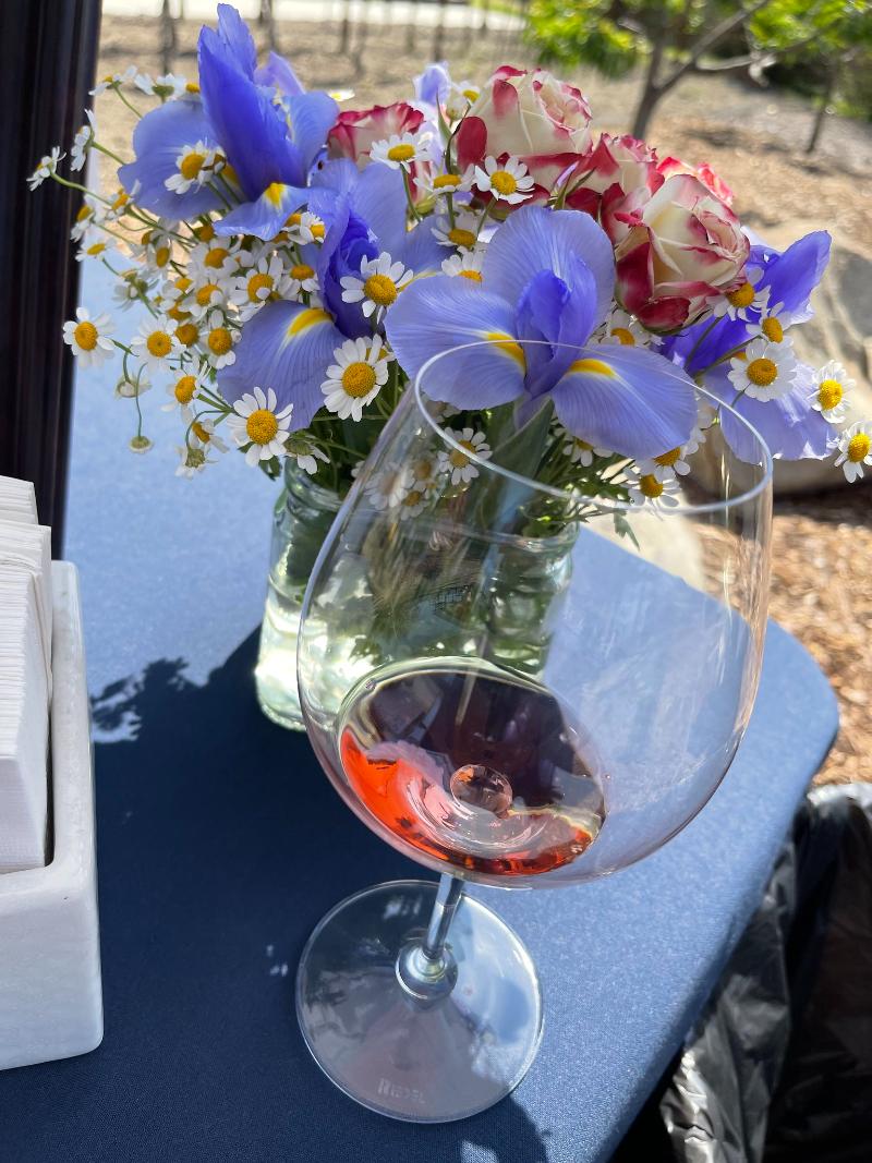 Gigondas Rosé - Vins tranquilles rosés - Photo de Sarah Stierch - 101Pairing.com