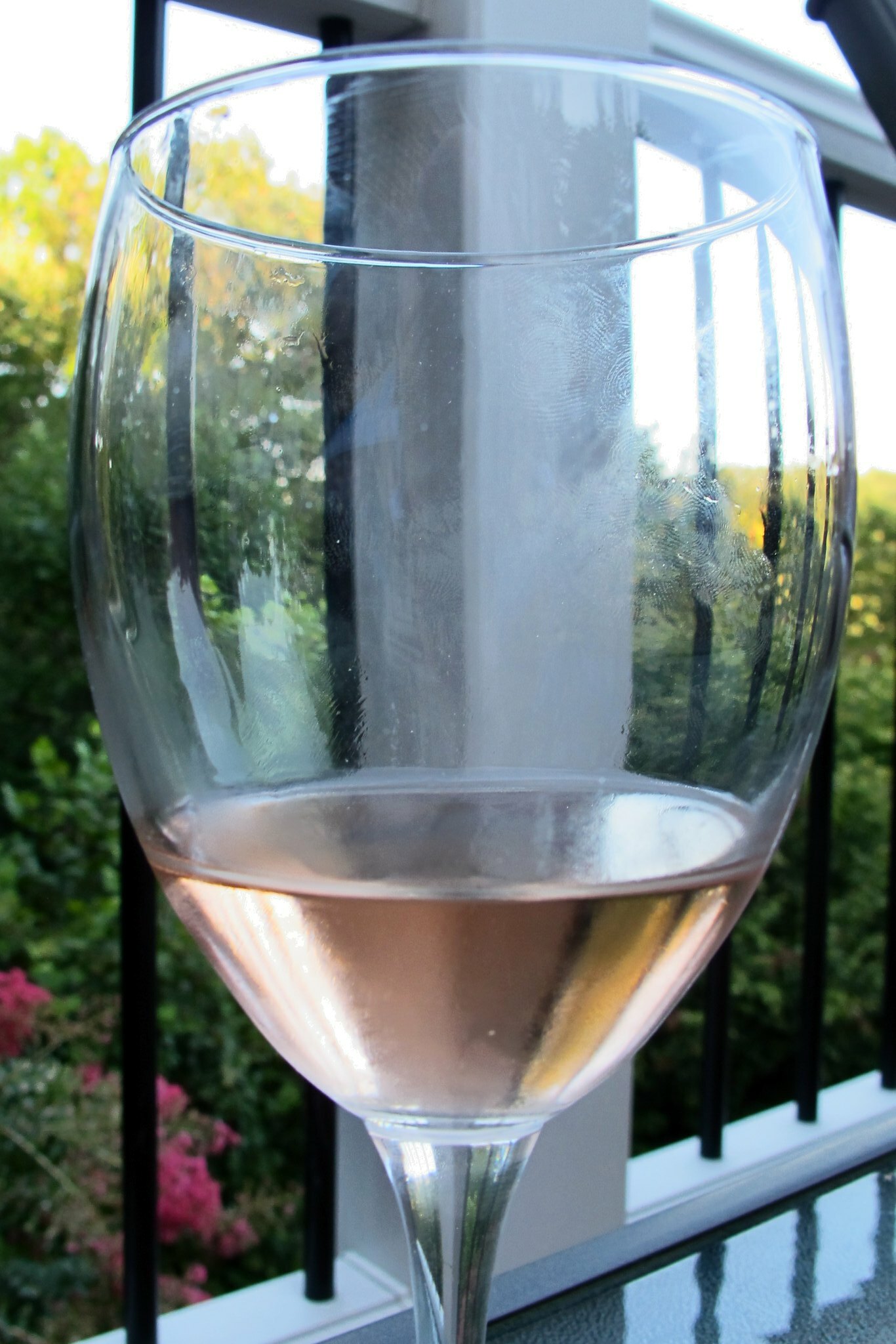 Touraine Azay le Rideau Rosé - Vins tranquilles rosés - Photo de Bill McChesney - 101Pairing.com