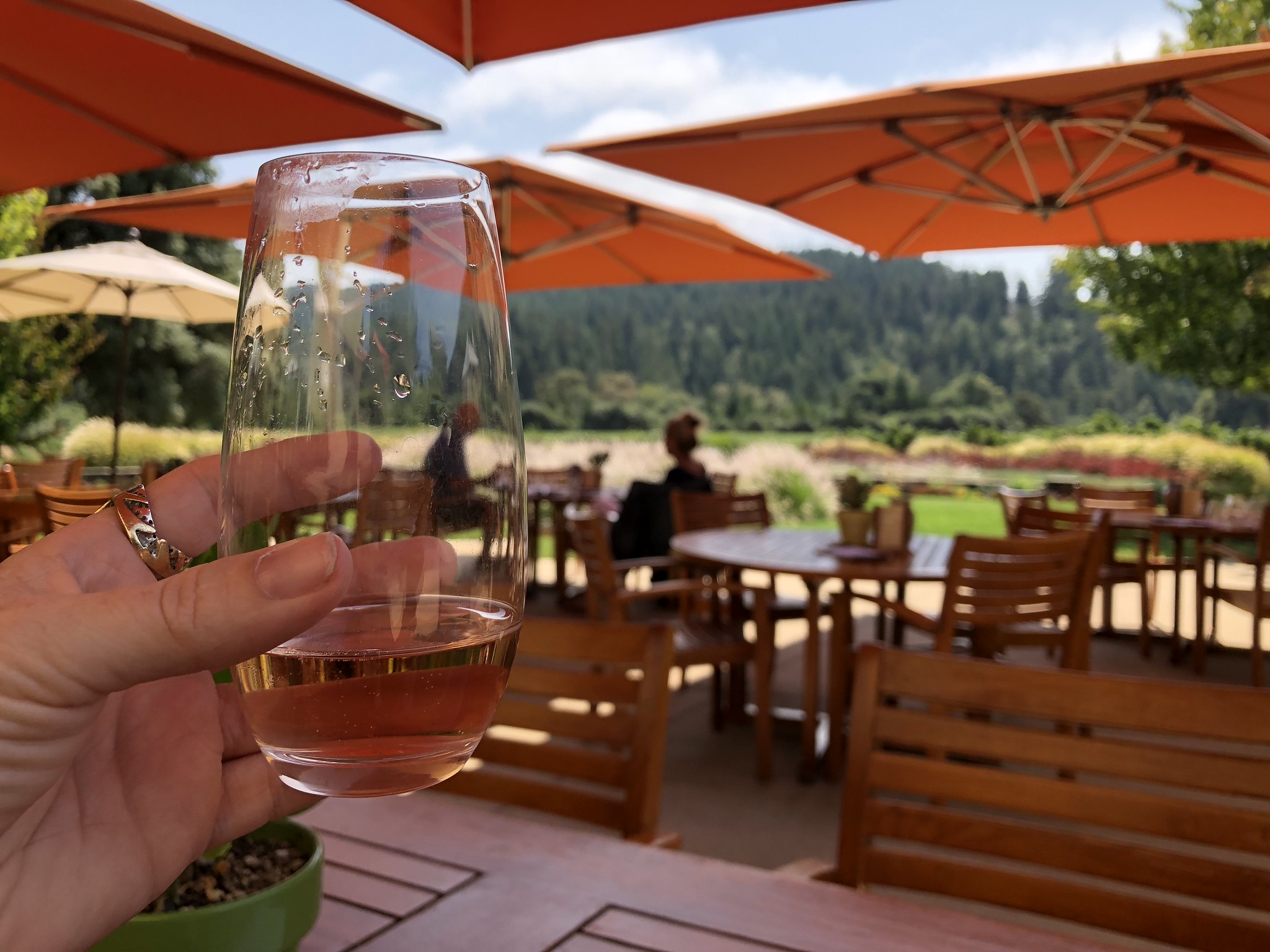 Champagne Grand cru Puisieulx Rosé Demi-sec - Vins effervescents rosés - Photo de Sarah Stierch - 101Pairing.com