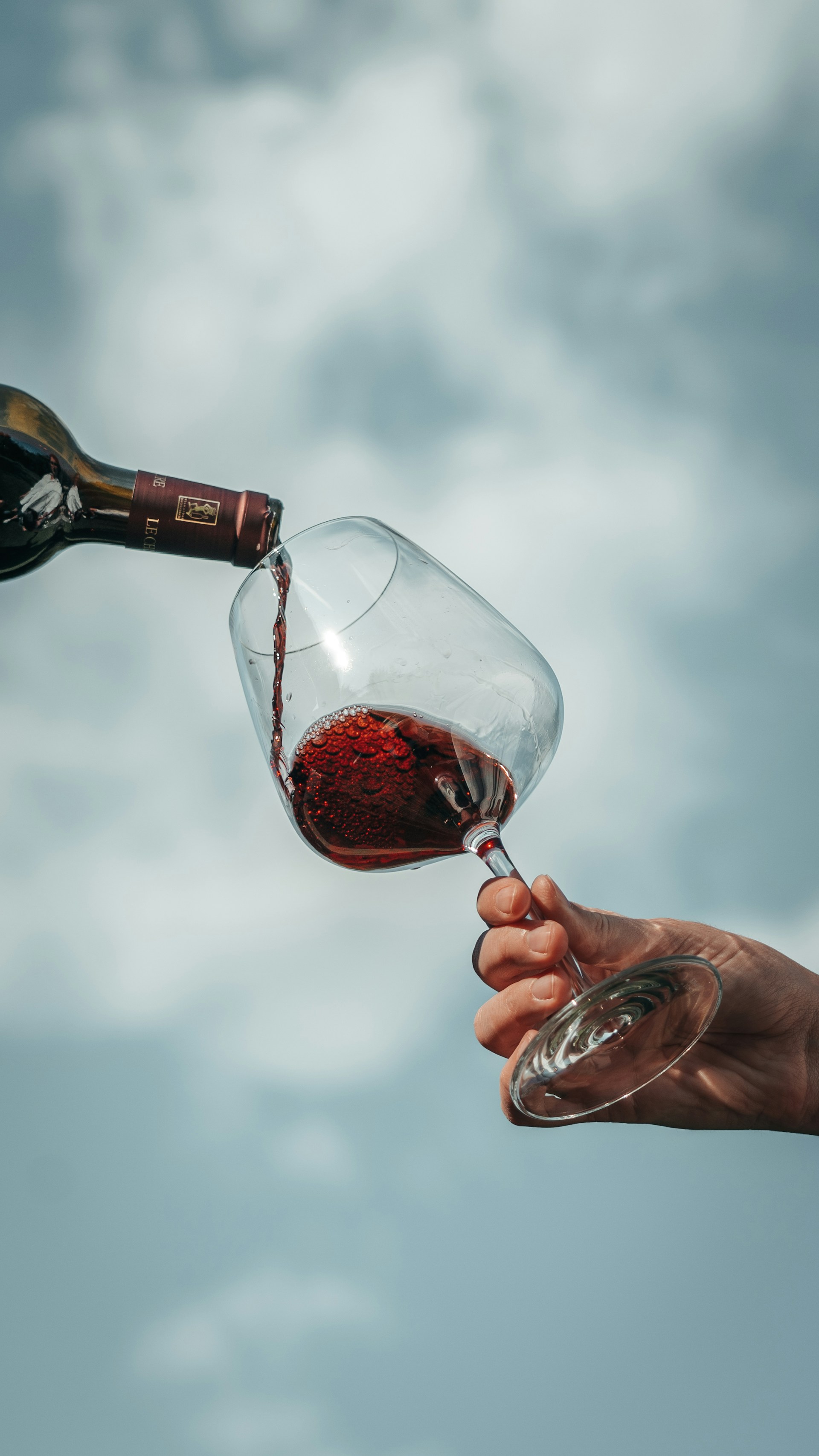 Bourgogne Grand ordinaire Rouge - Vins tranquilles rouges - Photo de Floris Christiaans - 101Pairing.com