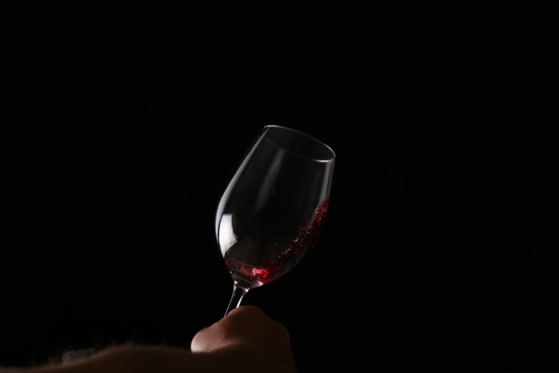 Bourgogne Passe-Tout-Grains Rouge - Vins tranquilles rouges - Photo de Giovanna Kunghel - 101Pairing.com