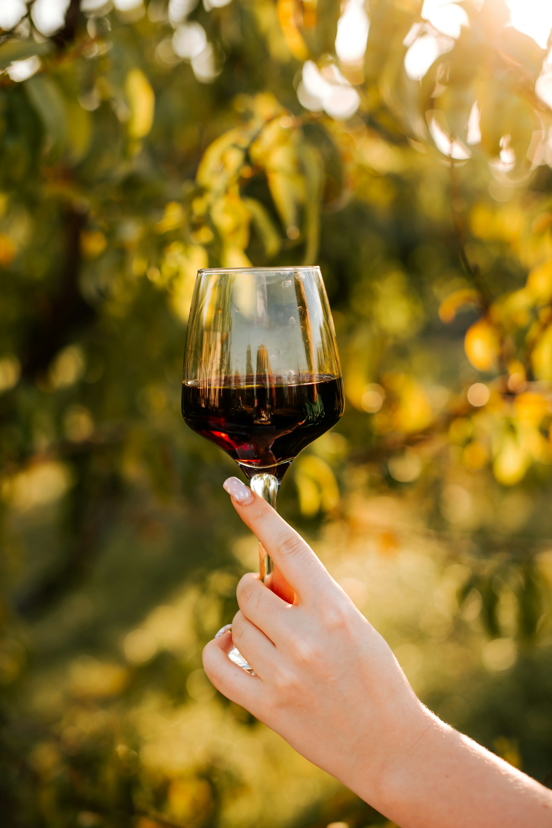 Bugey Gamay - Vins tranquilles rouges - Photo de Kateryna Hliznitsova - 101Pairing.com