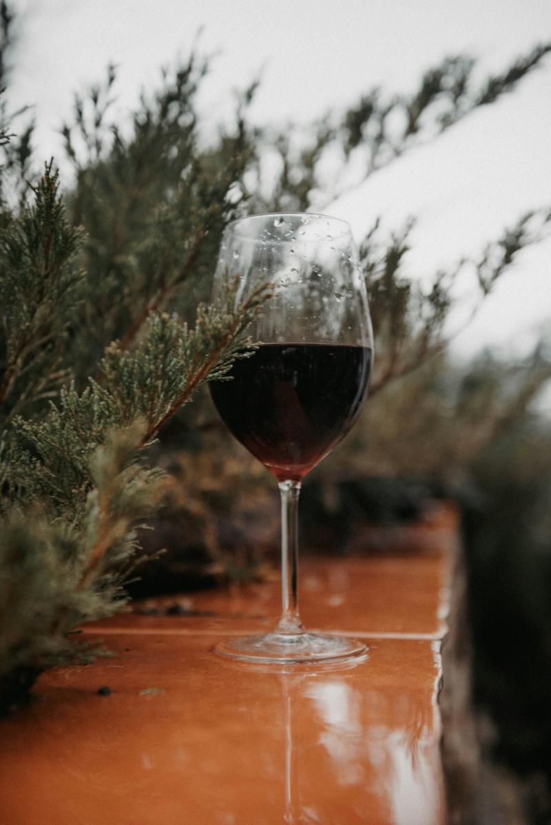 Côtes du Jura Poulsard rouge - Vins tranquilles rouges - Photo de Olga Solodilova - 101Pairing.com