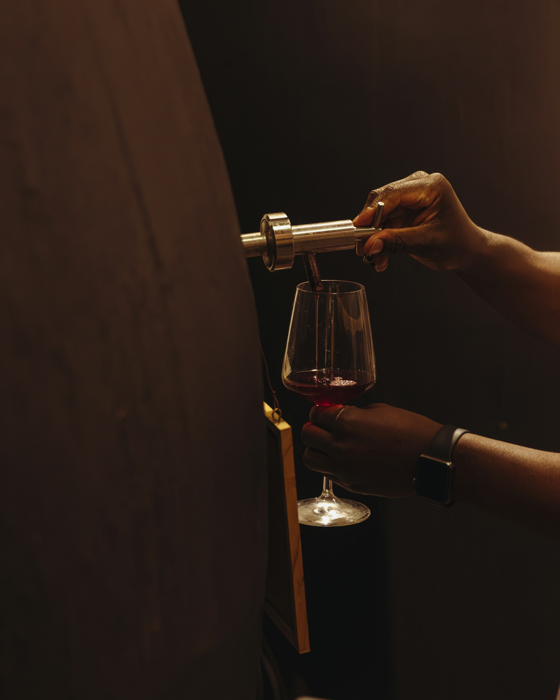 Entre-Deux-Mers Rouge - Vins tranquilles rouges - Photo de Mark Bloomfield - 101Pairing.com