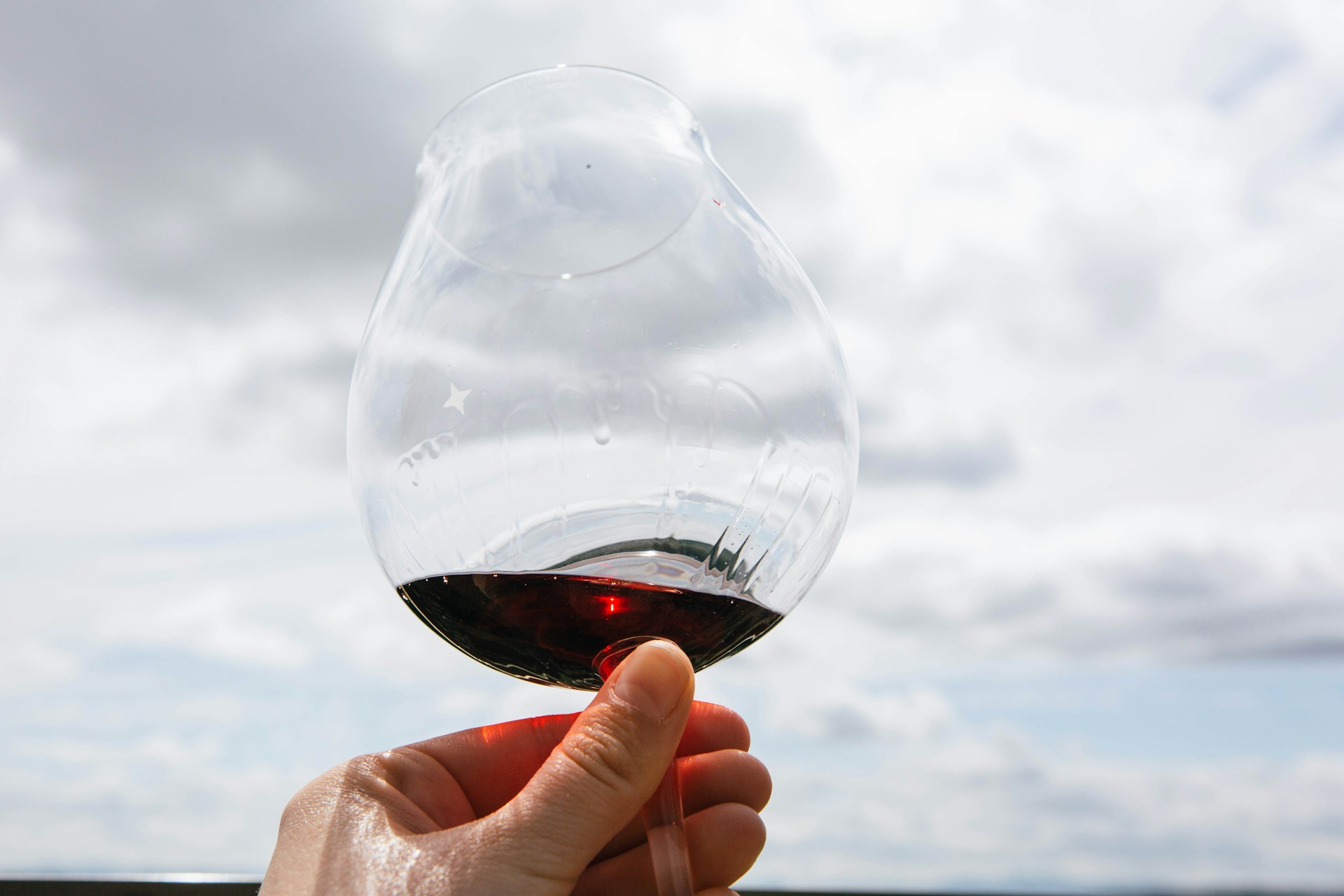 Ladoix Rouge - Vins tranquilles rouges - Photo de Lexi Laginess - 101Pairing.com