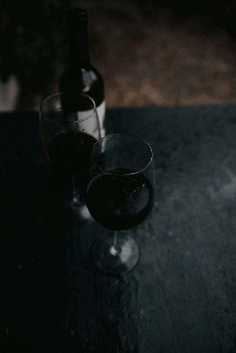 Lavilledieu Rouge - Vins tranquilles rouges - Photo de Olga Solodilova - 101Pairing.com