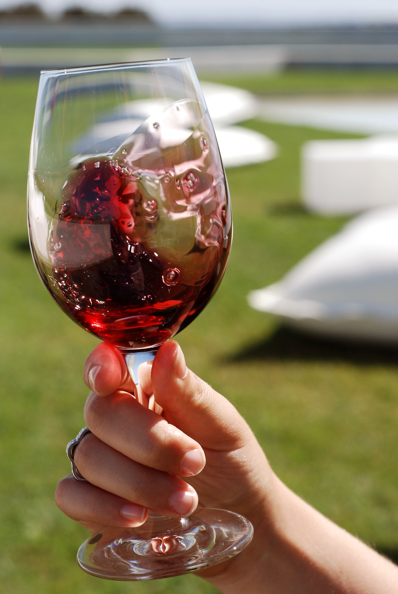 Rully Premier cru Rouge - Vins tranquilles rouges - Photo de João Trindade - 101Pairing.com