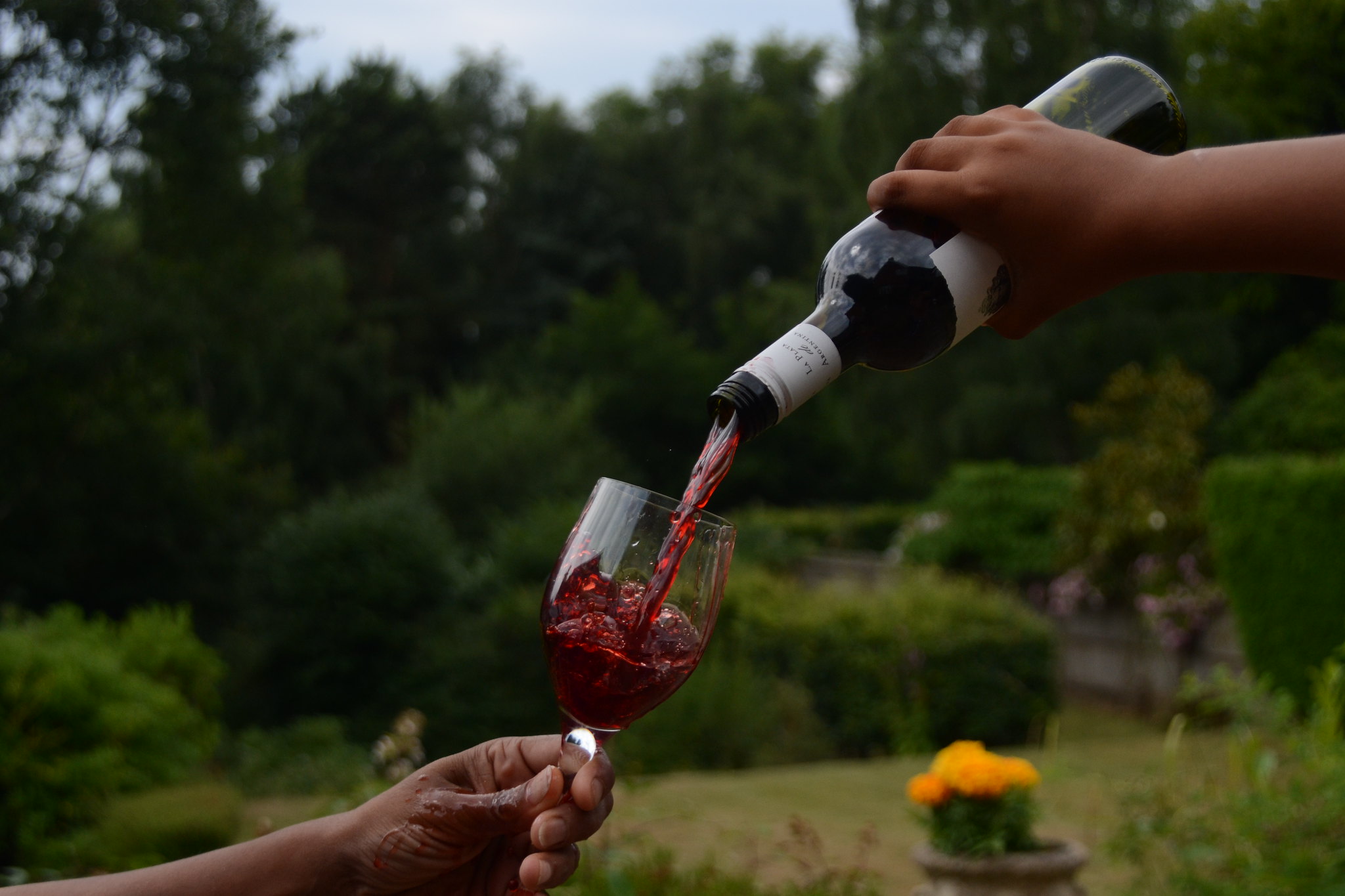 Touraine Rouge - Vins tranquilles rouges - Photo de Raj Stevenson - 101Pairing.com