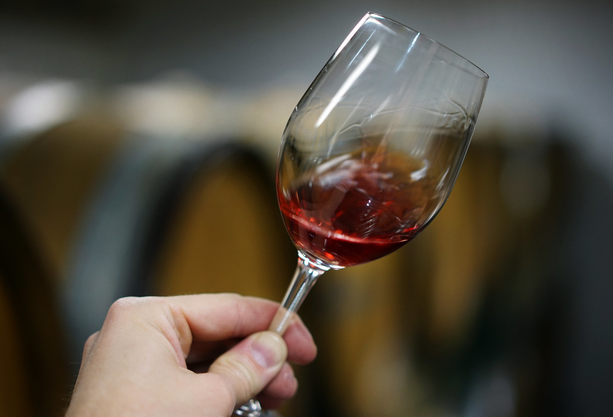 Arbois Pupillin Pinot noir rouge - Vins tranquilles rouges - Photo de Jim Fischer - 101Pairing.com