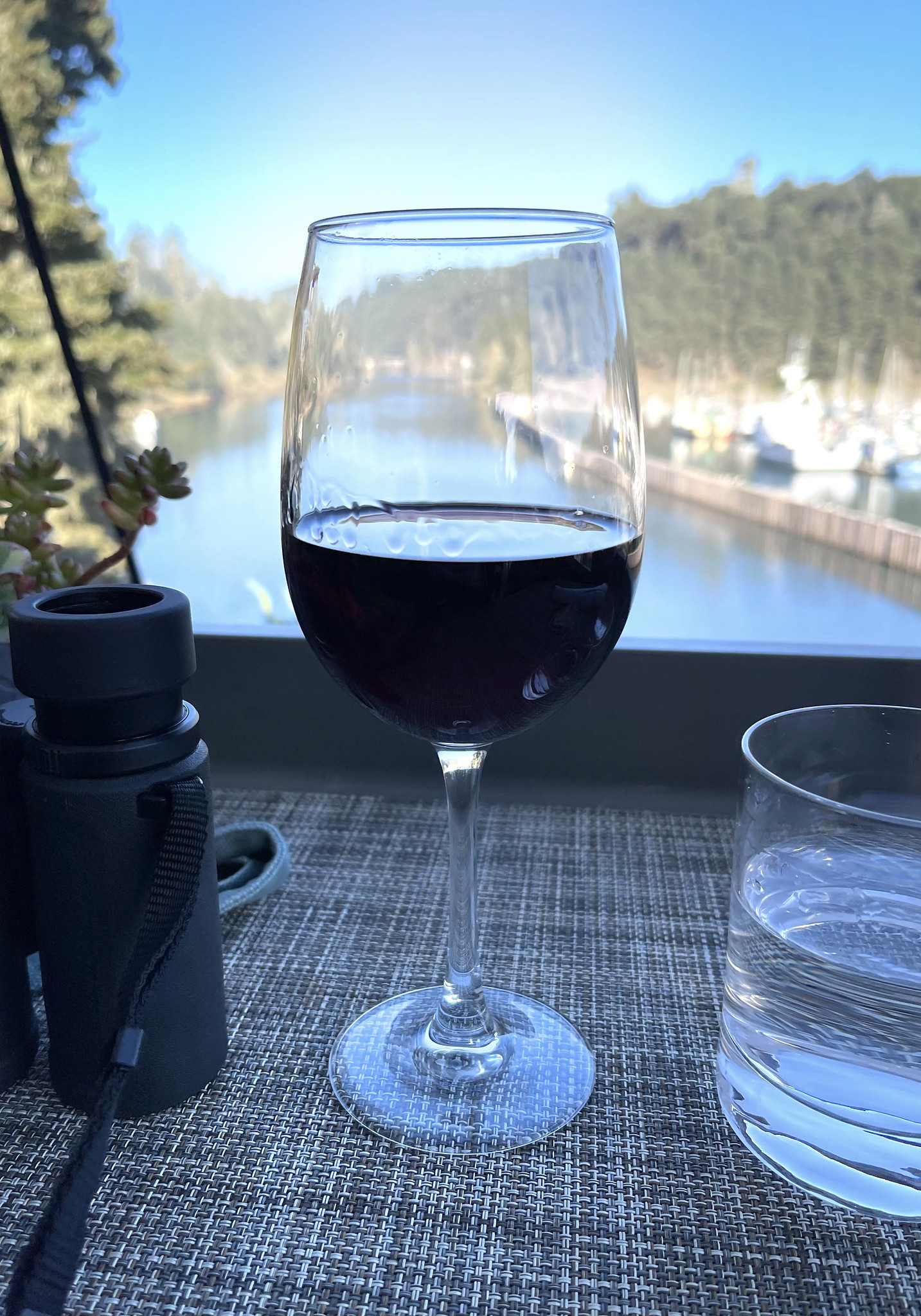 Arbois Pinot noir rouge - Vin(s) tranquille(s) rouge(s) - Photo de Sarah Stierch - 101Pairing.com